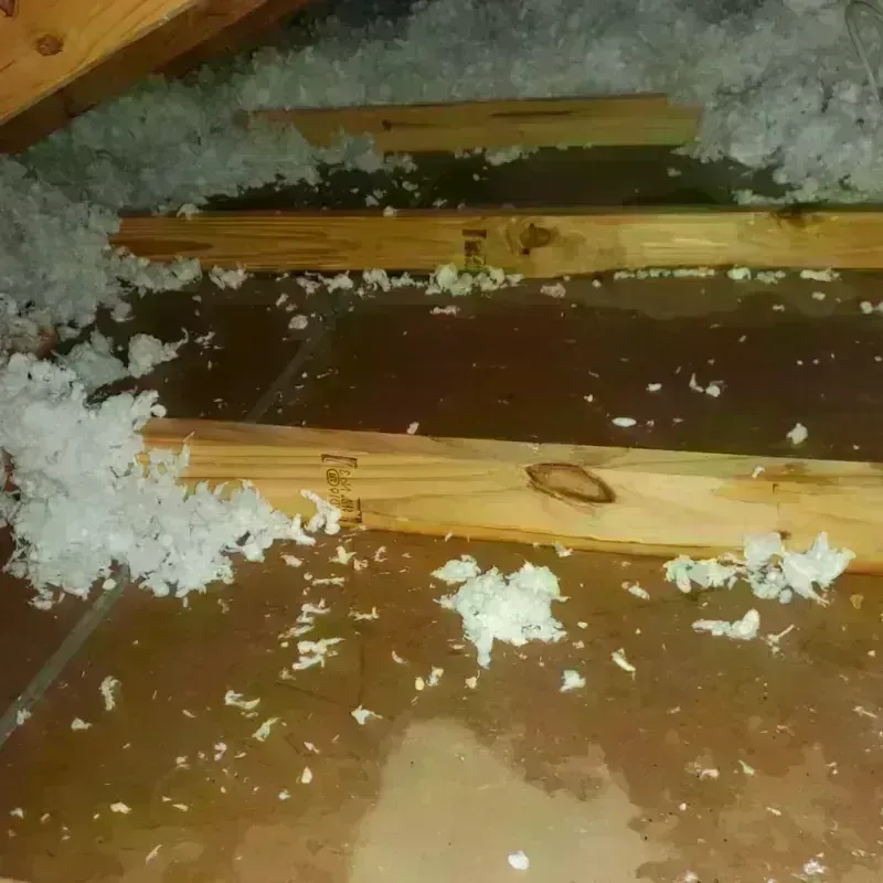 Attic Water Damage in Locust Grove, GA